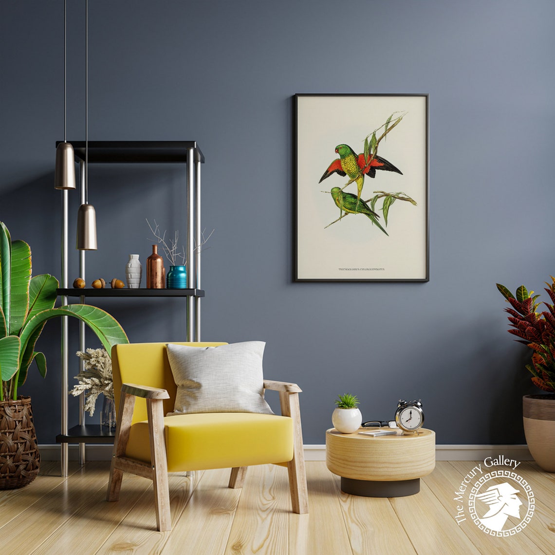 Scaly Breasted Lorikeet Vintage Australian Bird Illustration Print - Image 2