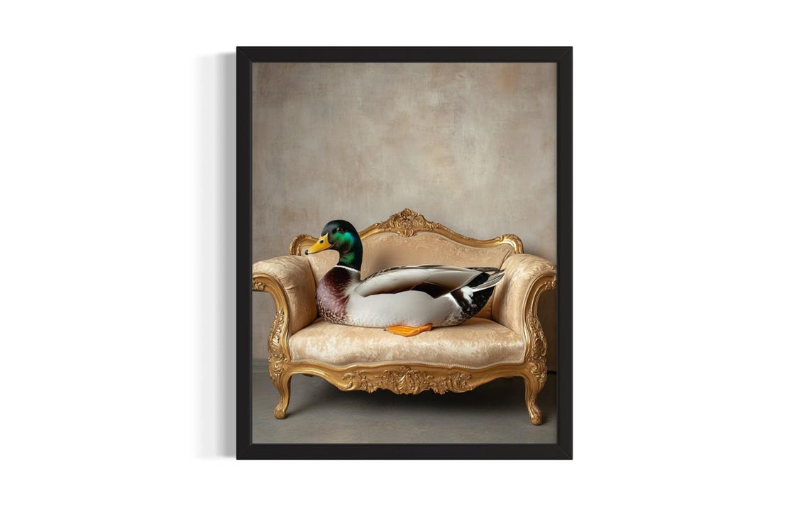 Mallard Duck Sitting on Golden Baroque Sofa Whimsical Poster