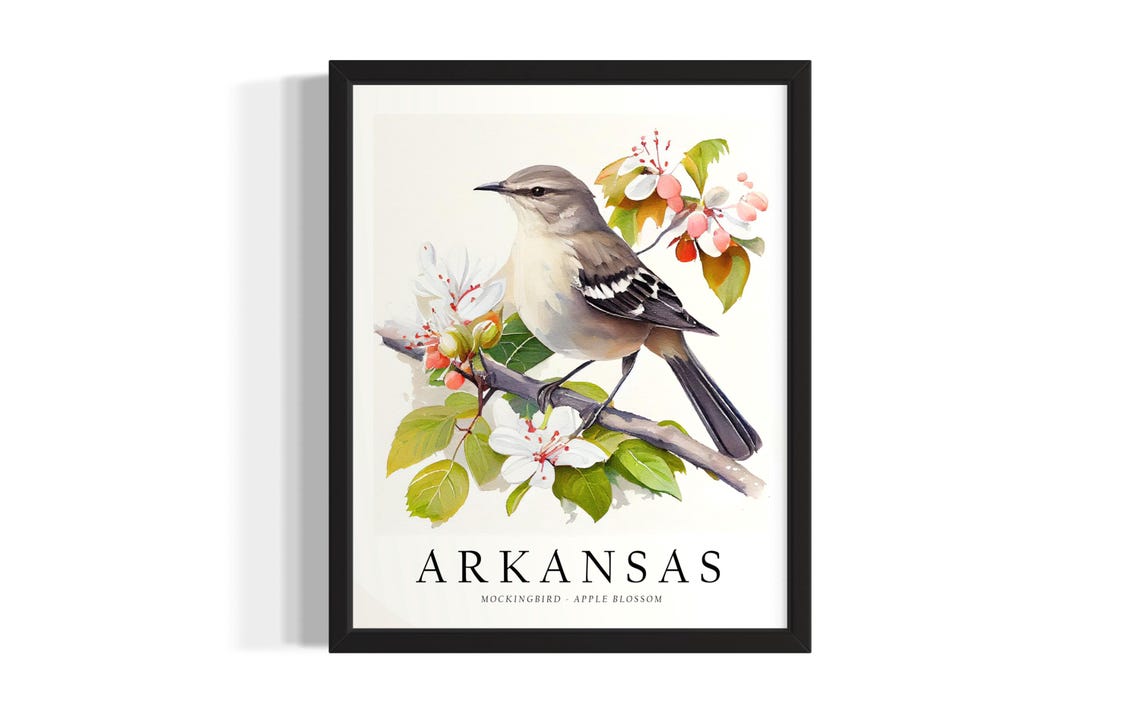 Arkansas Mockingbird Apple Blossom State Bird Watercolor Poster