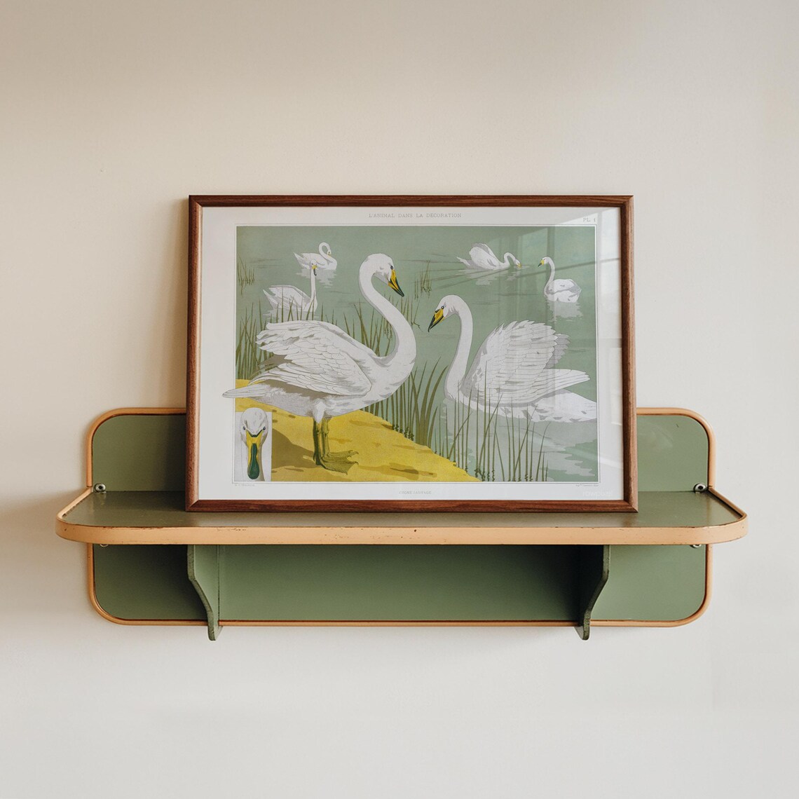Maurice Pillard Verneuil Swans Antique French Natural Art Poster