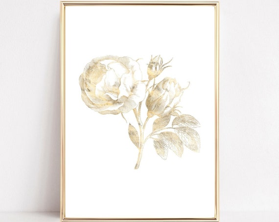 Rose Art Print, Vintage Botanical Floral Poster