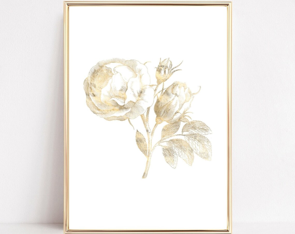 Rose Art Print, Vintage Botanical Floral Poster