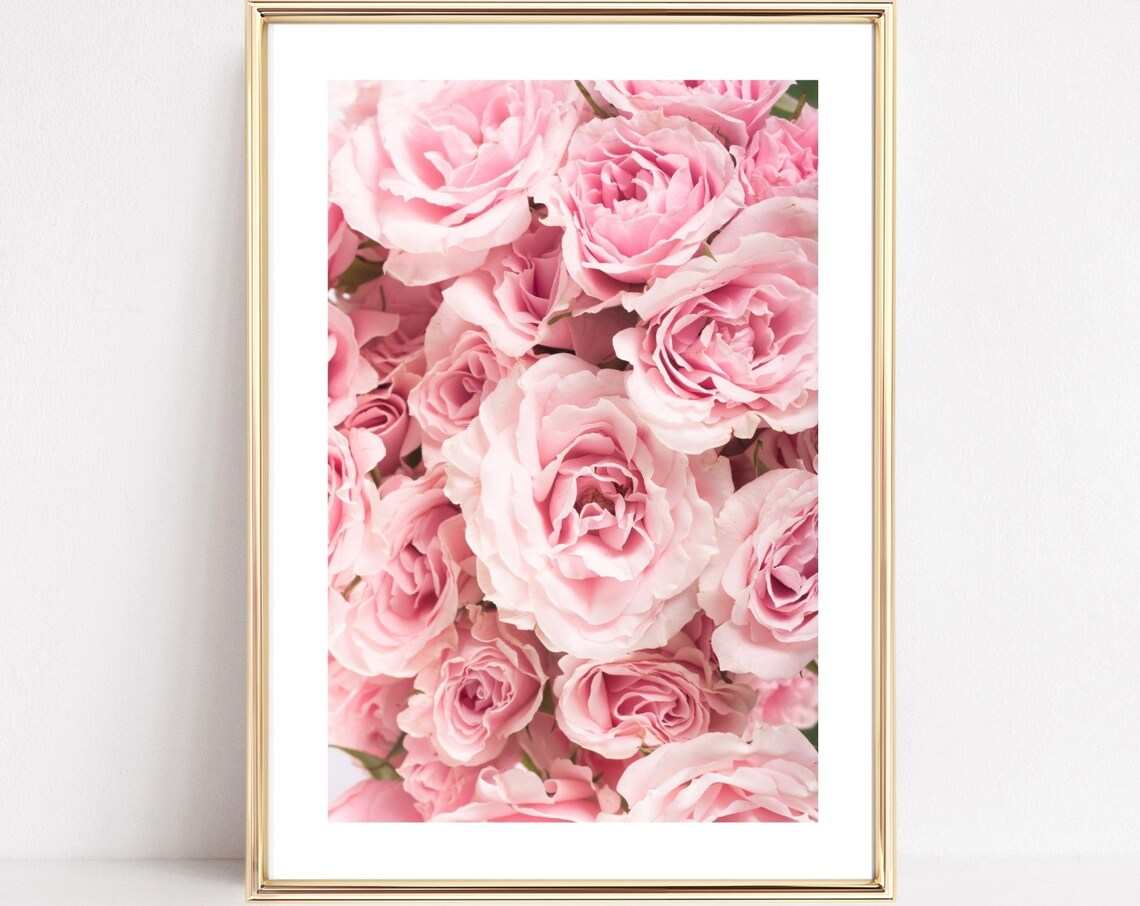 Rose Botanical Print, Minimalist Living Room Art Print