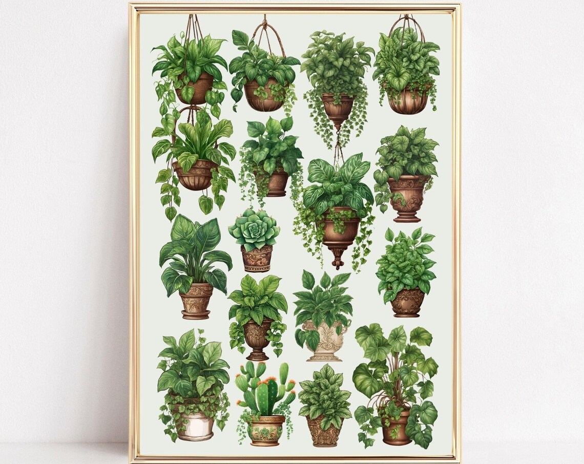 House Plants Boho Botanical Plant Illustration Art Print
