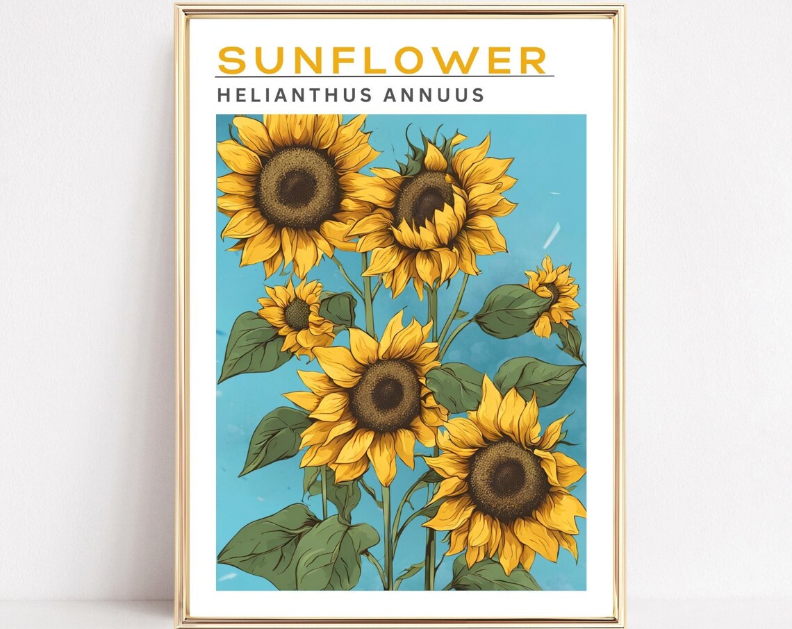 Sunflower Helianthus Annuus Botanical Teal Vintage Chart Poster