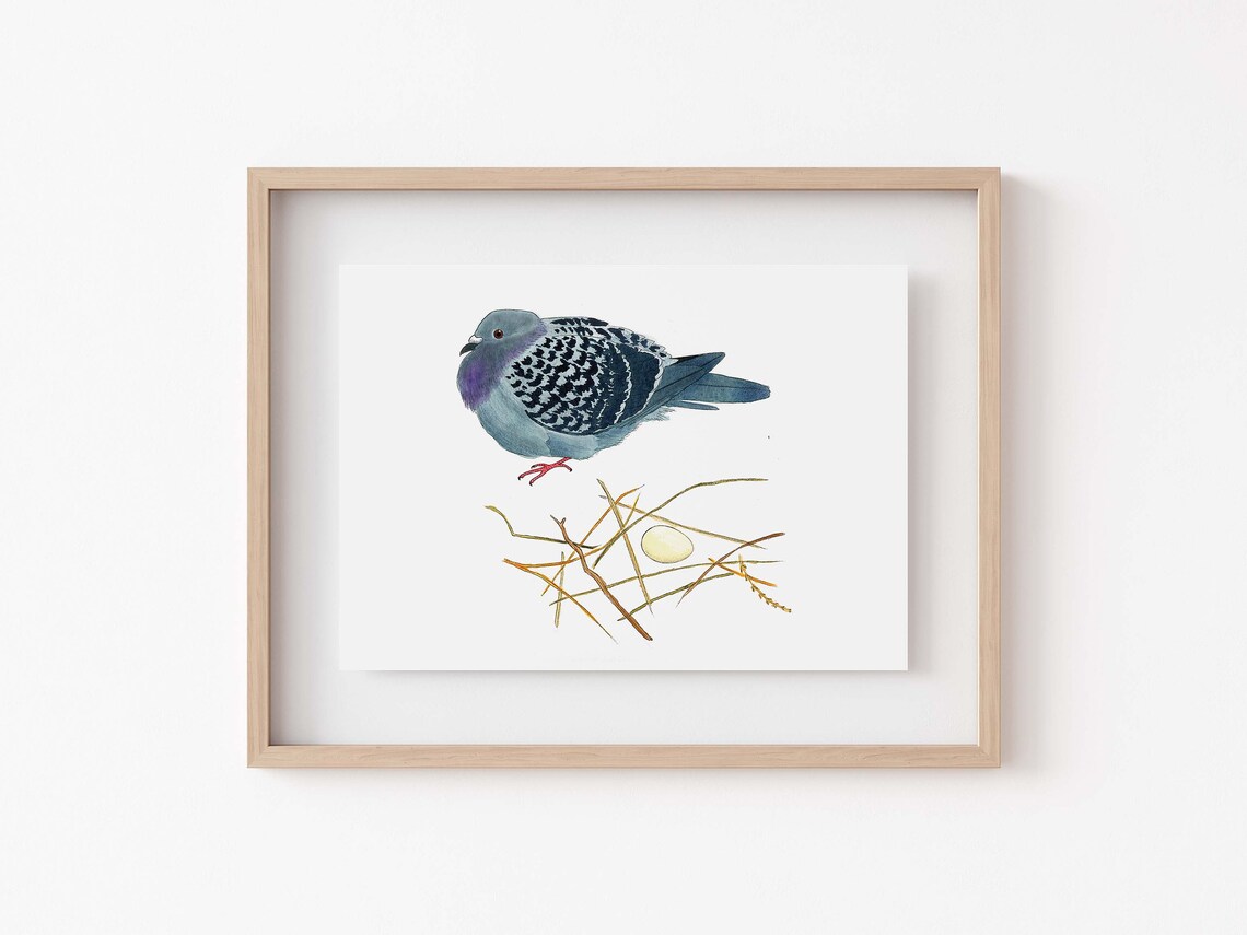 Quirky Pigeon Nest Art Print, Whimsical Decor