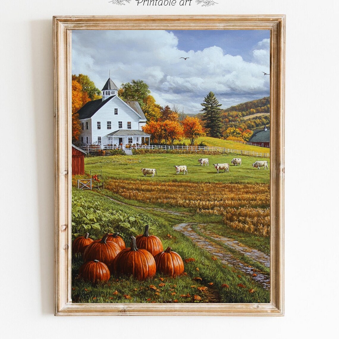 Autumn Farm Scene With White Farmhouse Cows And Pumpkins Poster