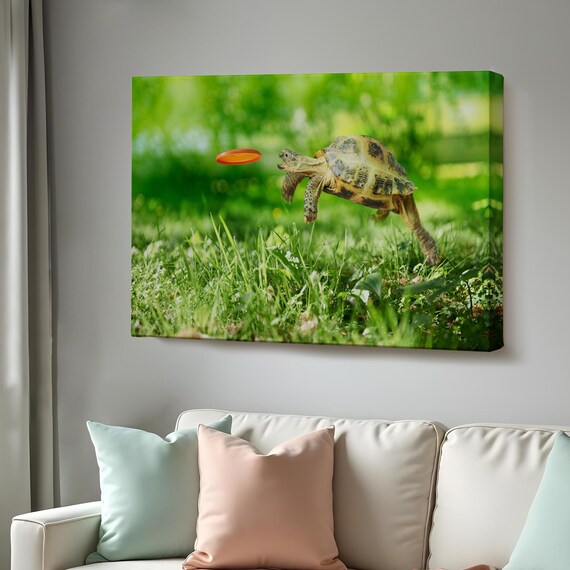 Funny Tortoise Jumping To Catch Orange Frisbee Green Grass Photo Poster