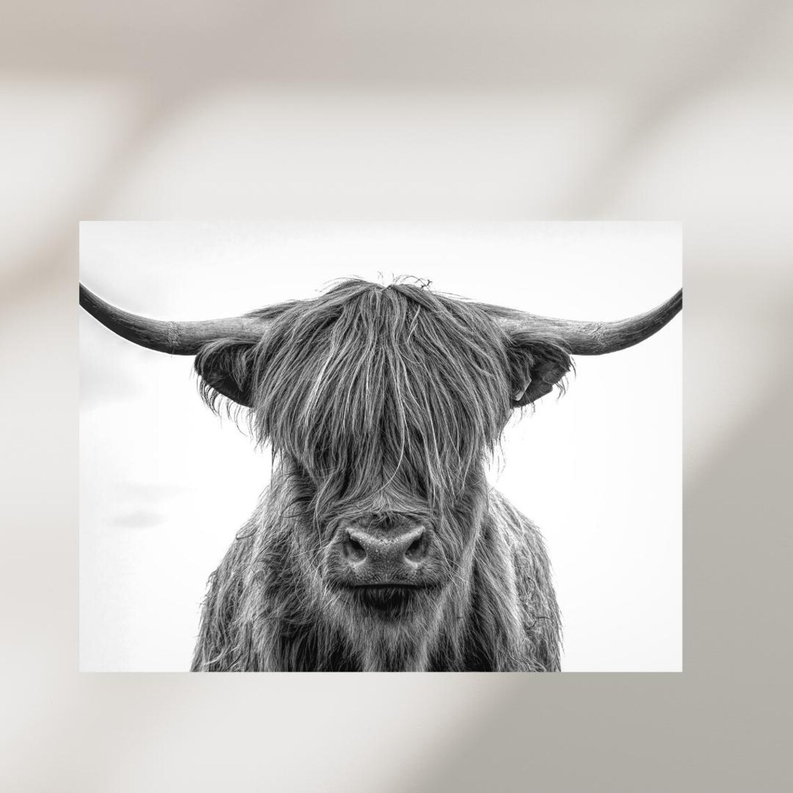Highland Cow Close-Up Black and White Minimalist Photo Poster - Image 5