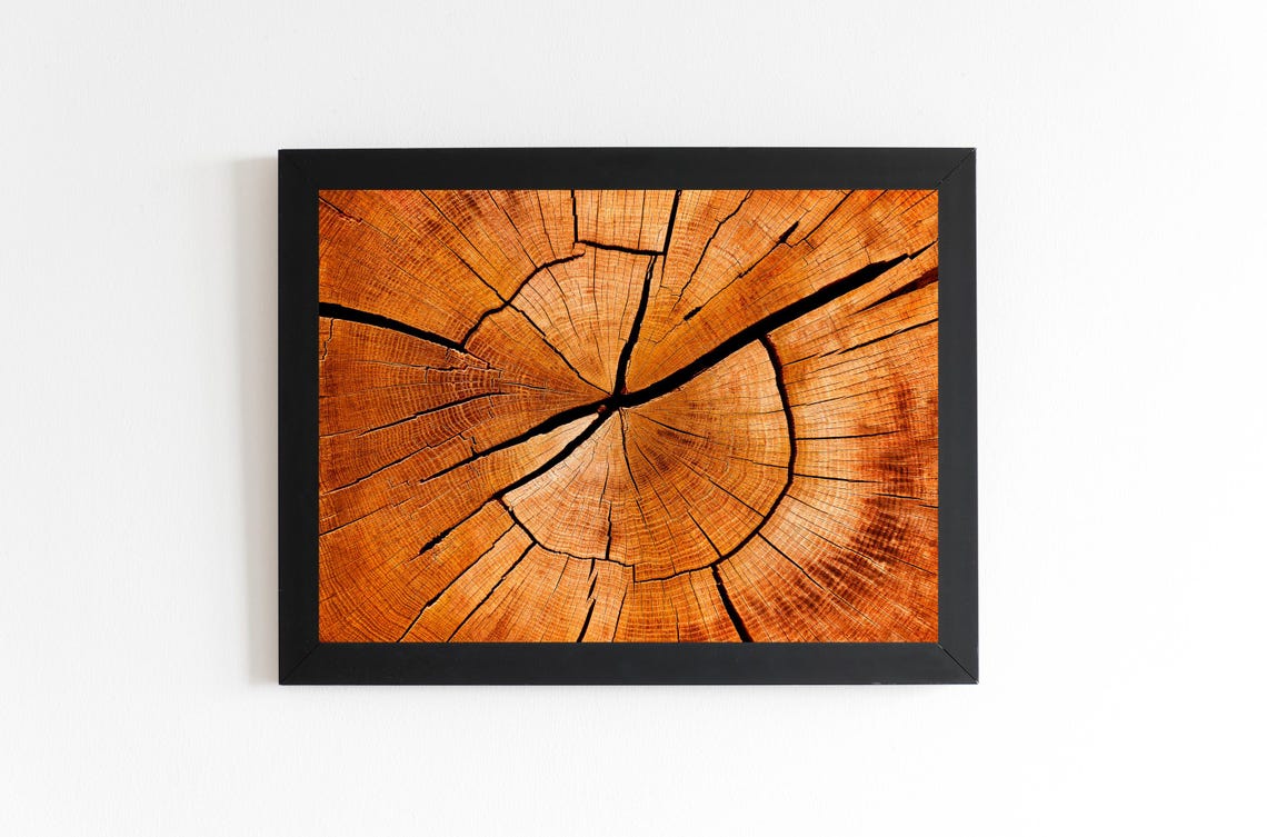 Wooden Texture Wall Art Rustic Tree Rings Print Nature Inspired Home Decor Wall Art - Image 5