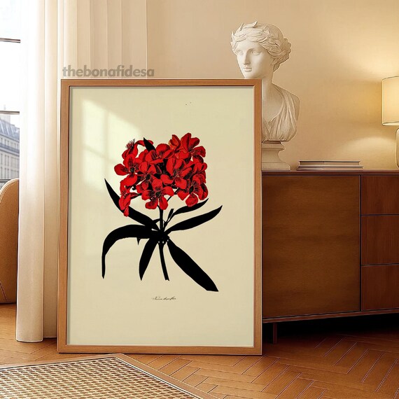Vintage Red Geranium Botanical Illustration Flower Wall Poster