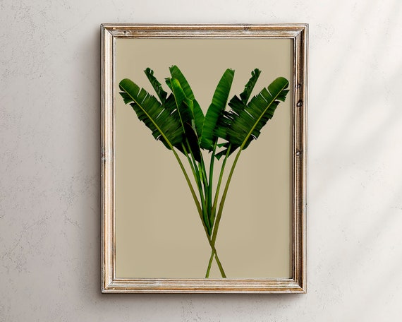 Banana Leaf Print Art Palm Tropical Wall Prints Botanical Decor