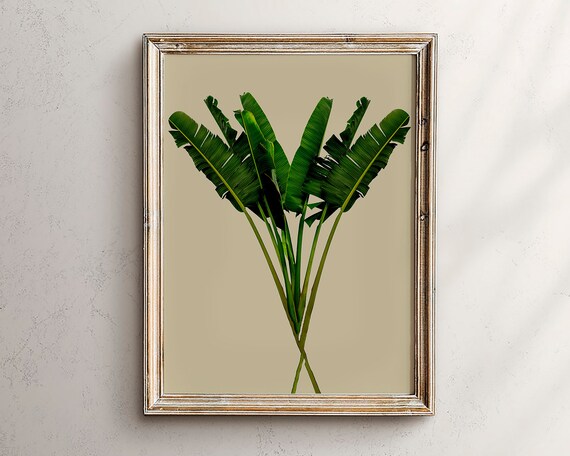 Minimalist Banana Palm Leaves Botanical Art on a Beige Background Poster