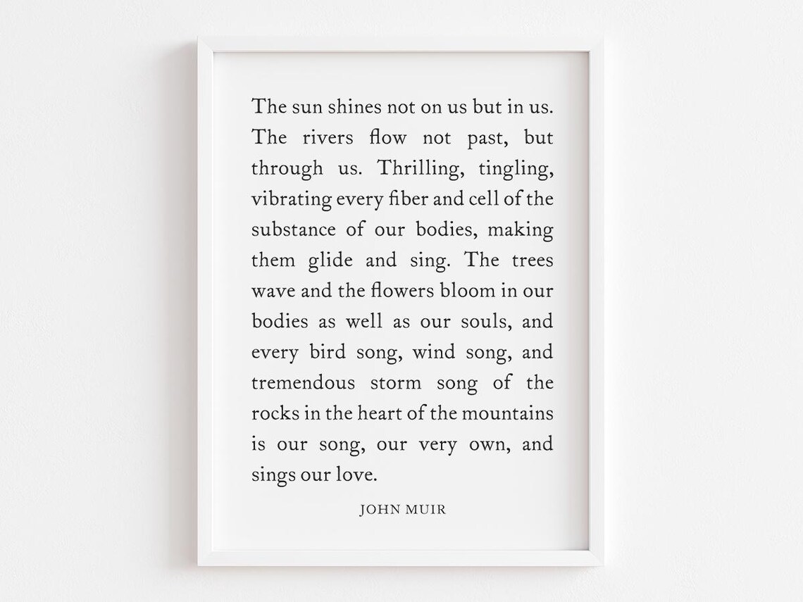 The Sun Shines Quote, John Muir Mountain Thoughts