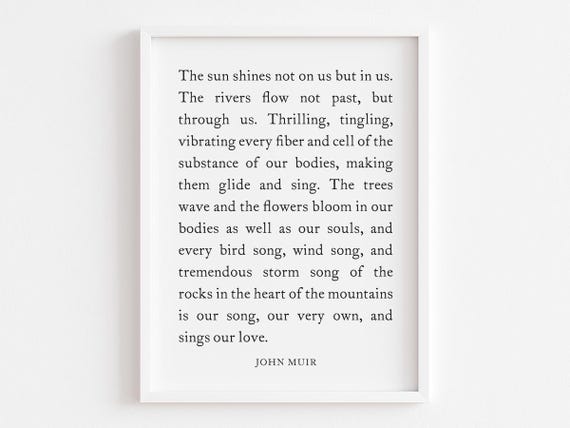 The Sun Shines Quote, John Muir Mountain Thoughts