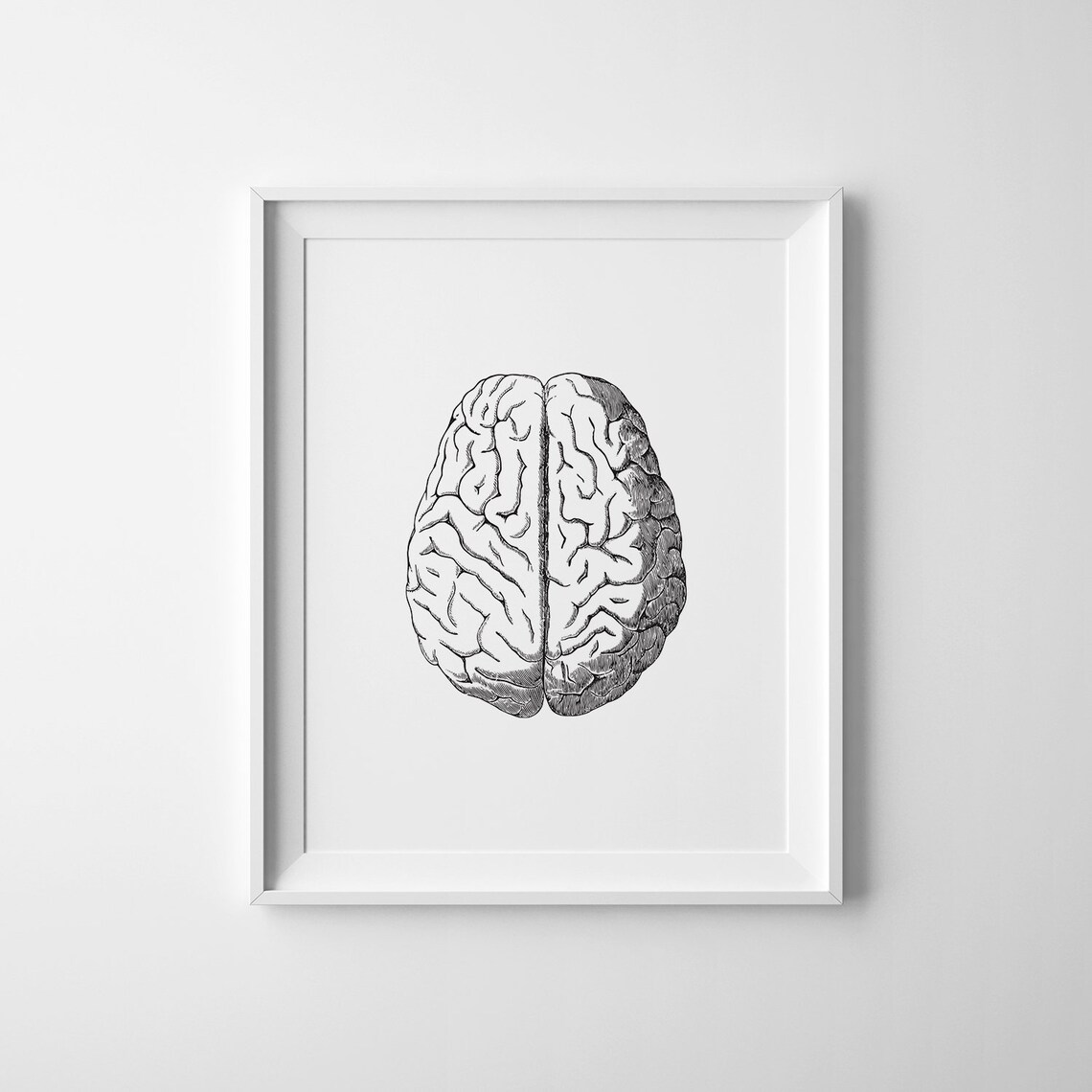 Brain Anatomy Art Print, Medical Study Poster