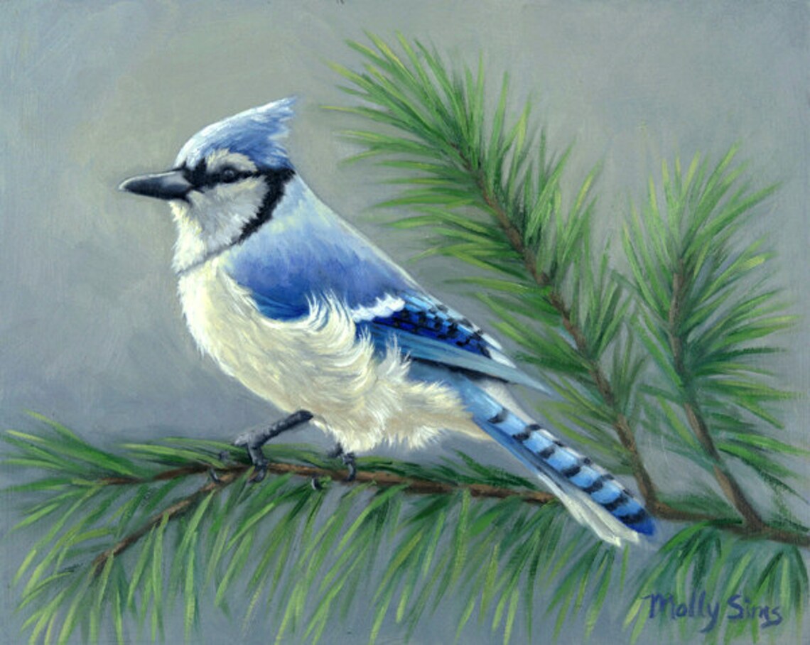 Blue Jay Bird Painting, Blue And Black Bird Print
