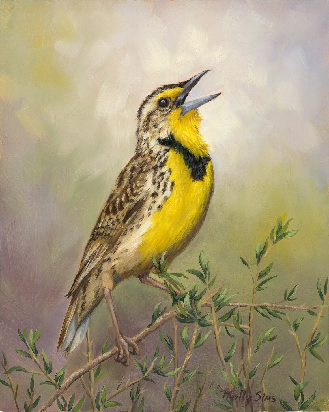 Meadowlark Yellow Bird Art Print, Songbird Study