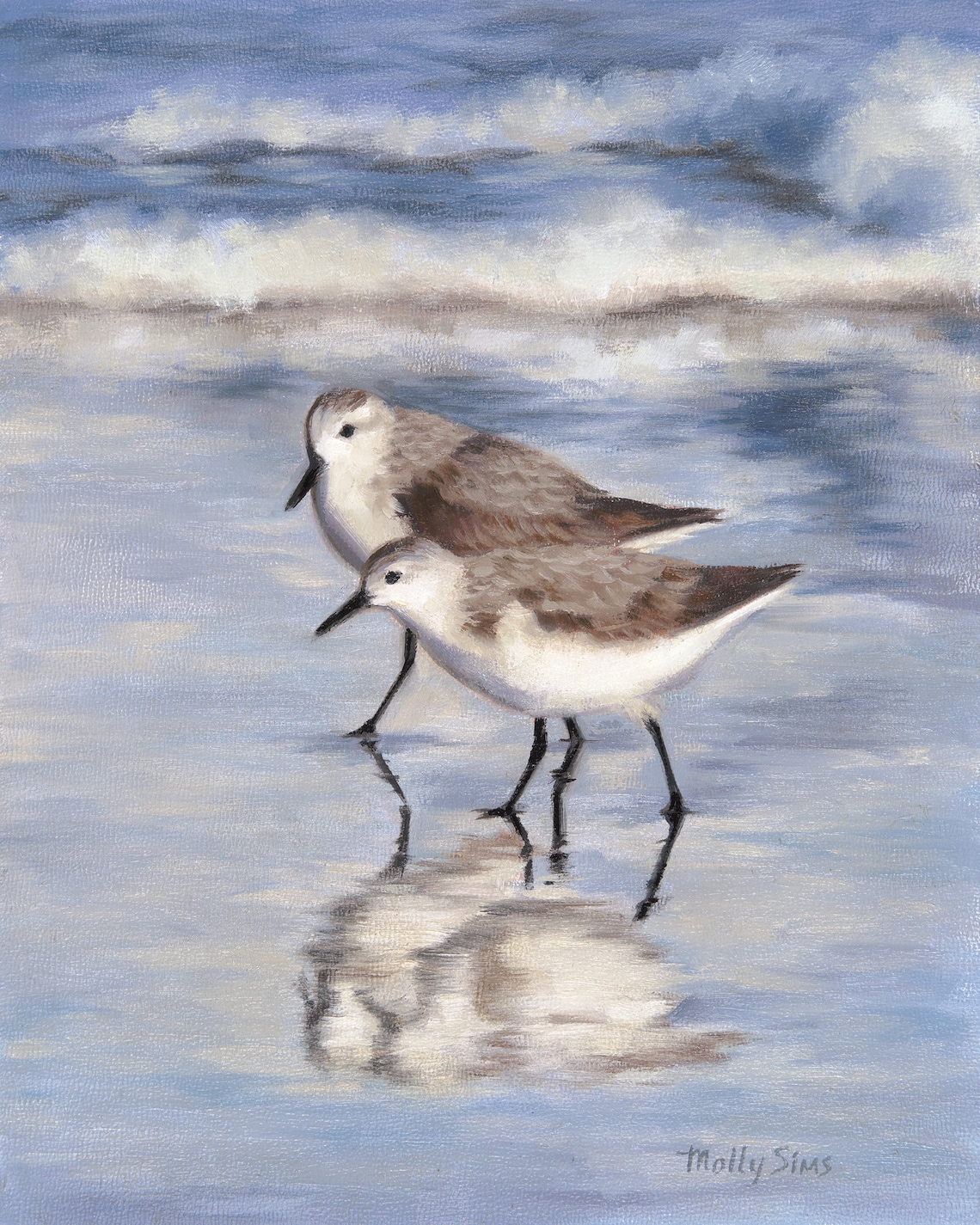 Sanderlings and Sandpipers Bird Art Print