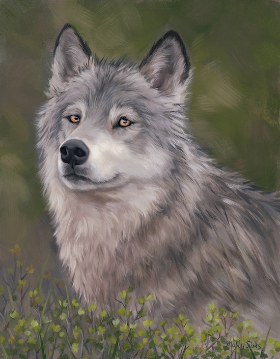 Gray Wolf Close-Up Wildlife Face Portrait Oil Painting Poster