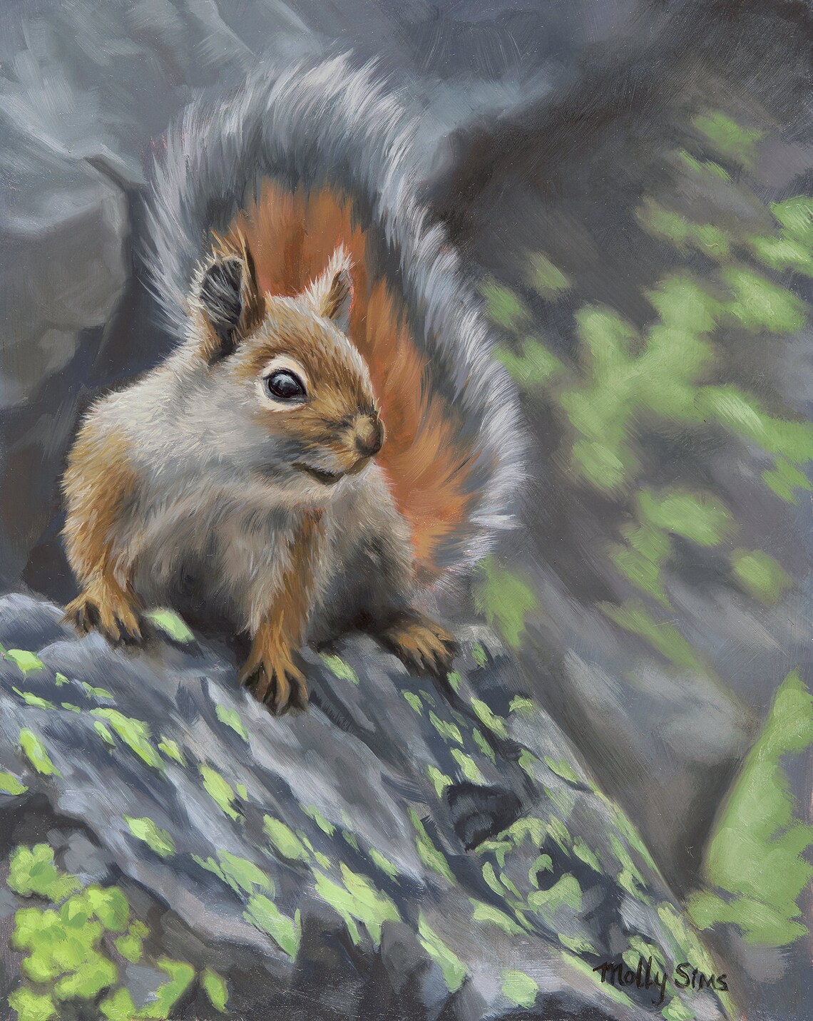 Squirrel Wildlife Art, Open Edition Art Print