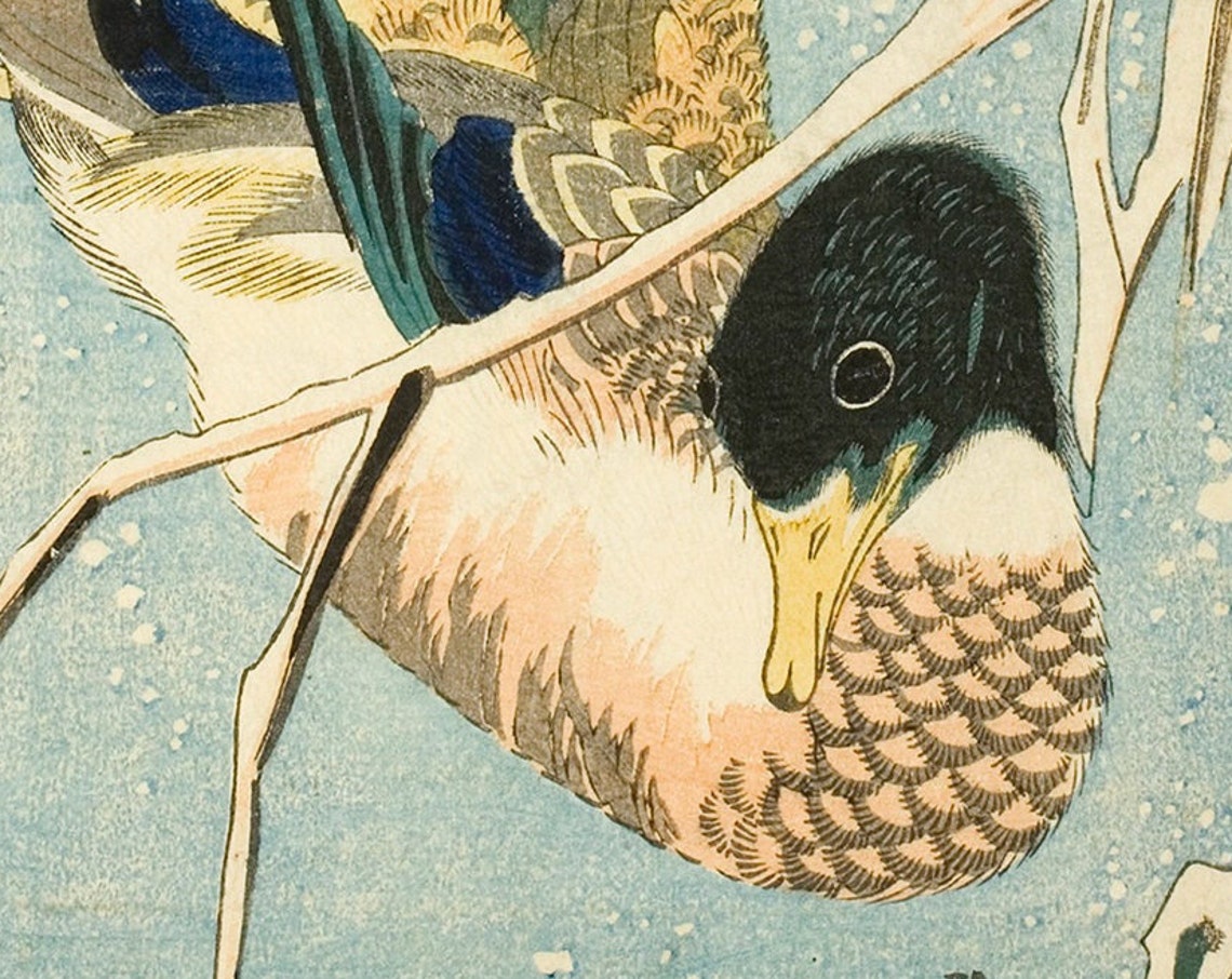 Hiroshige Wild Duck Woodblock Close Up Bird Detail Japanese Art Print