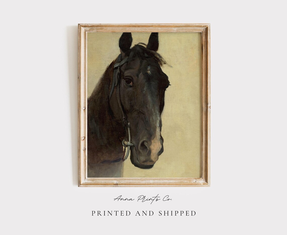 Vintage Horse Study Art Print, Equestrian Decor