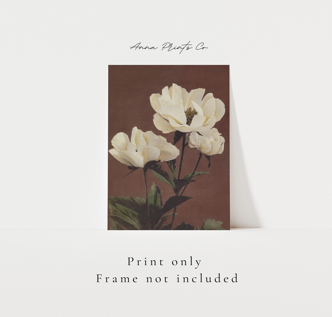 Antique Peony Painting, Vintage Japanese Art Print - Image 3