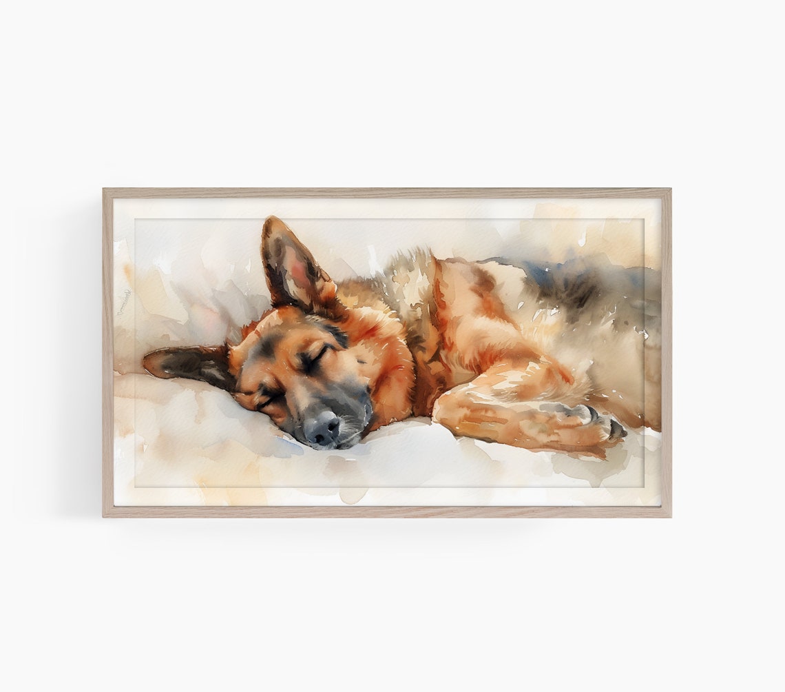 Cozy Sleeping German Shepherd Watercolor Dog Portrait Poster
