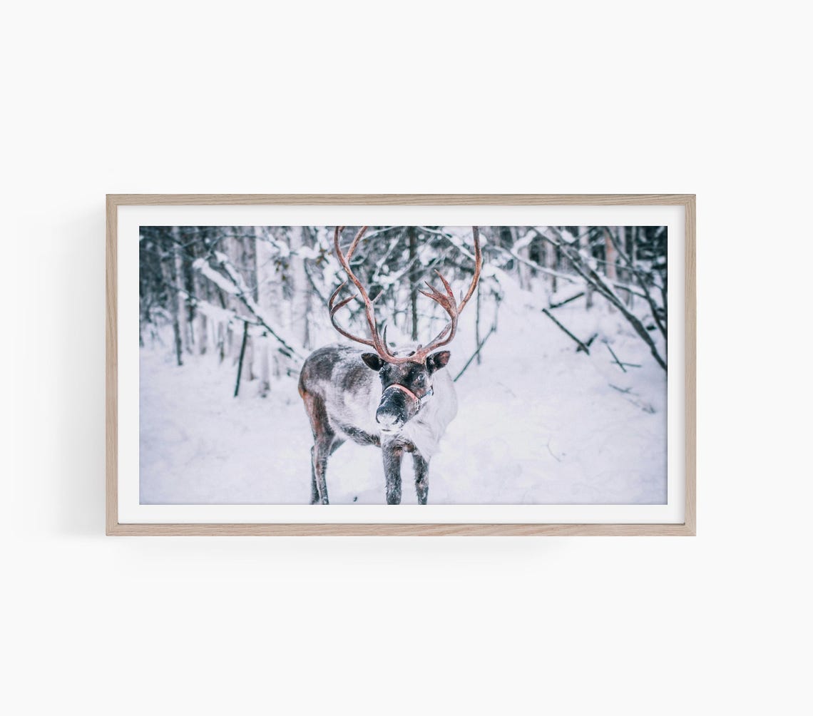 Reindeer Frame Tv Art Winter Reindeer Tv Art Christmas Reindeer Frame Tv Art Snowy Reindeer Tv Art Christmas Frame Tv Art T790