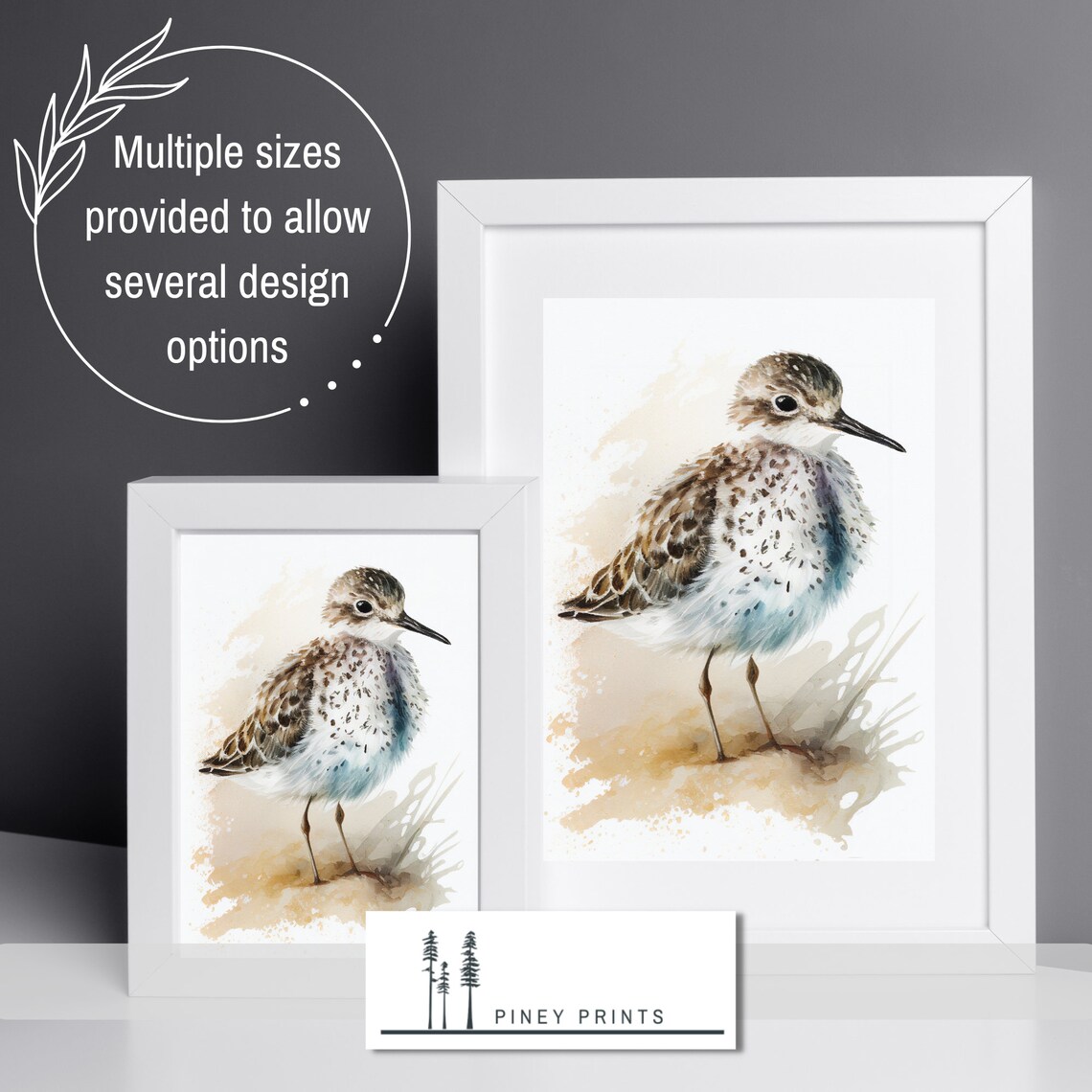 Speckled Sandpiper Shorebird Watercolor Coastal Bird Painting Poster