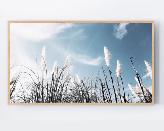 Samsung Frame Tv Art White Pampas Grass Blue Sky Photography For Spring Modern Farmhouse