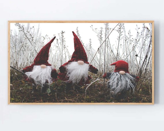 Three Christmas Gnomes in Frosty Field Cute Holiday Photo Poster