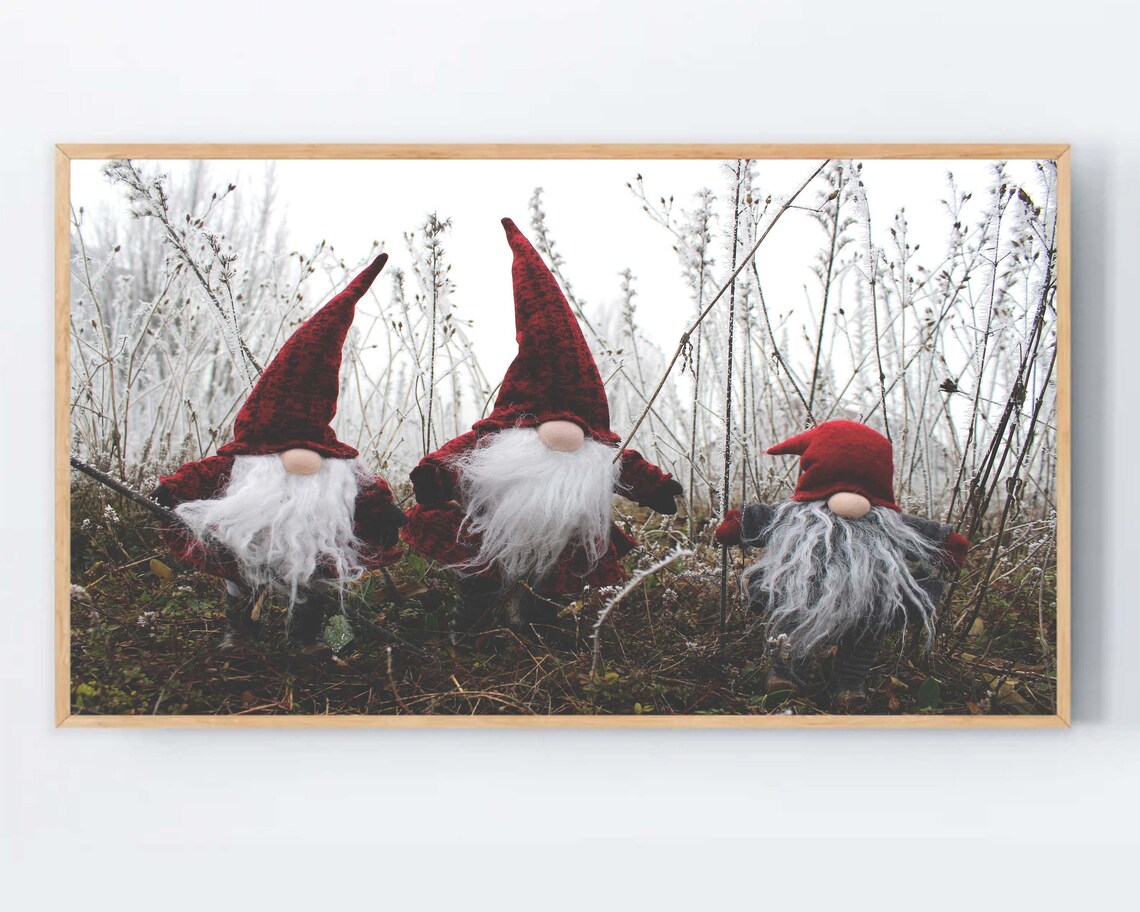 Three Christmas Gnomes in Frosty Field Cute Holiday Photo Poster