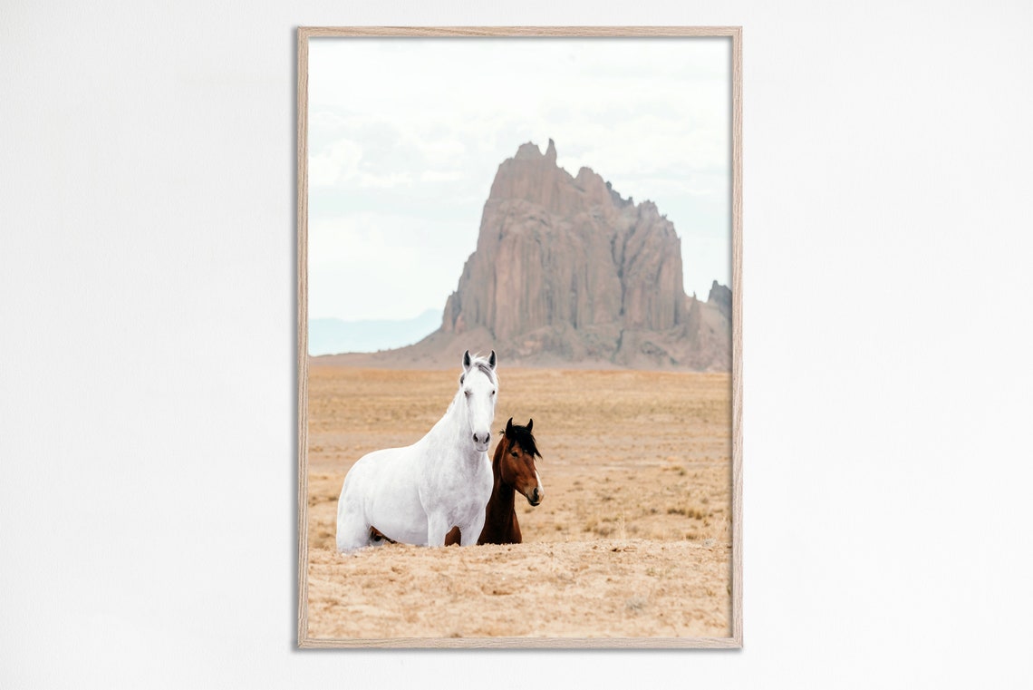White and Brown Wild Horses Desert Rock Formation Western Poster