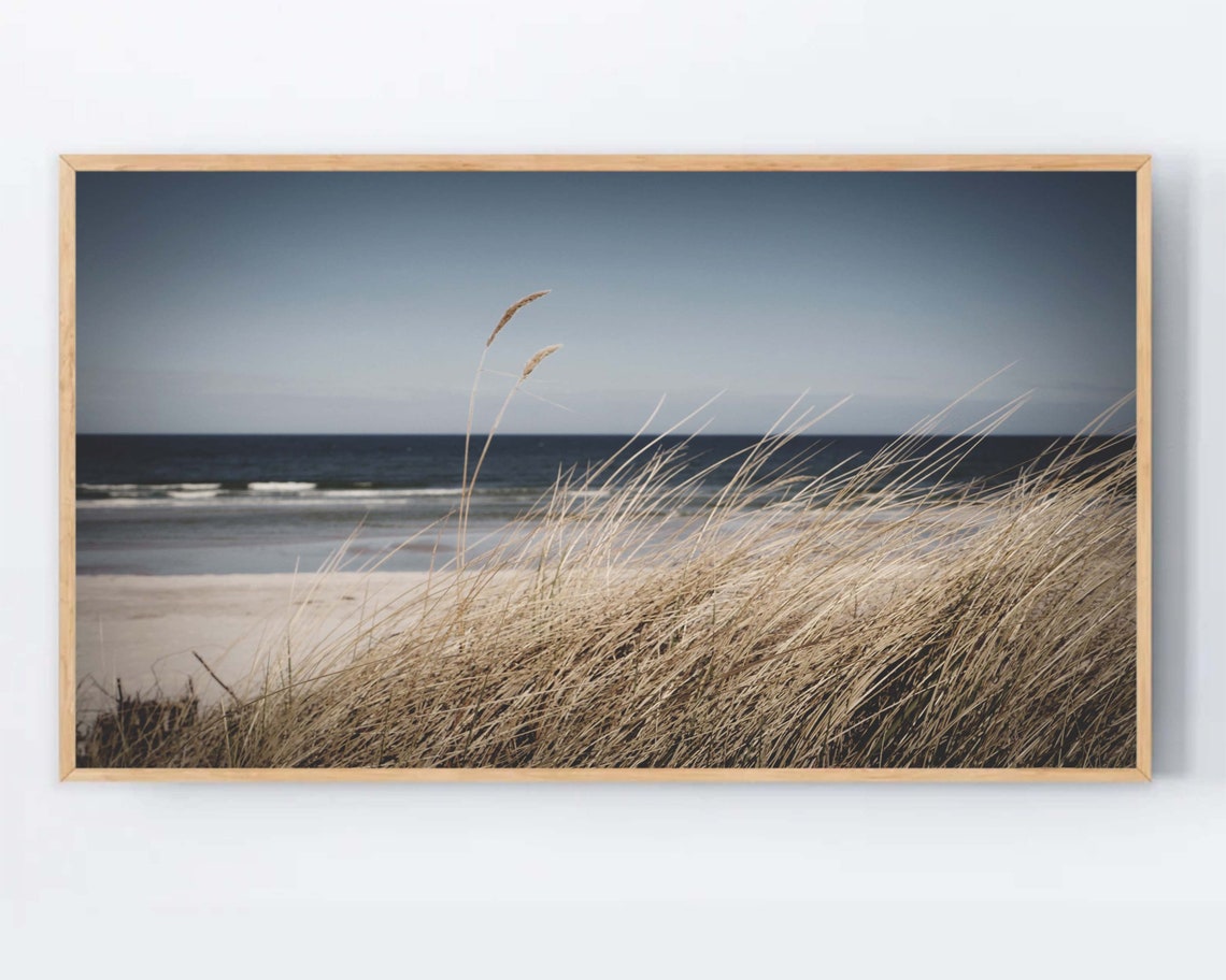 Neutral Sea Grass Coastal Beach Landscape Minimalist Ocean Wall Poster