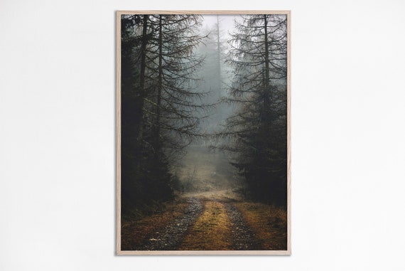 Foggy Forest Path Print Misty Woods Moody Nature Art Mysterious Fog Photo