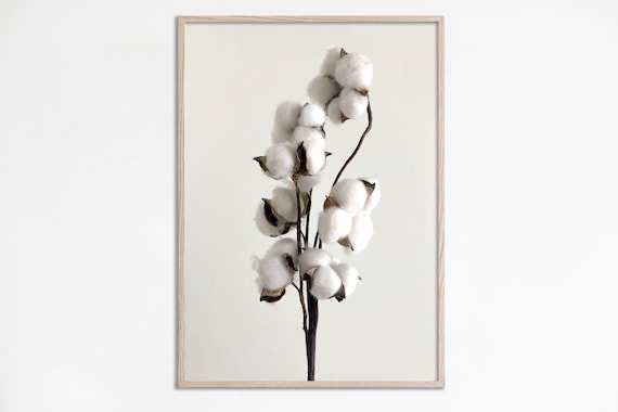 Neutral Decor Wall Art Cotton Photo Print Modern Farmhouse Stalks Bolls Bedroom Minimalist