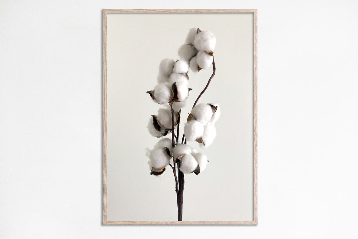 Cotton Stems Minimalist Photography Neutral Botanical Poster