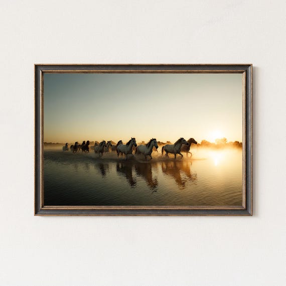 Wild Horses Photography Print Sunrise Water Reflection Art