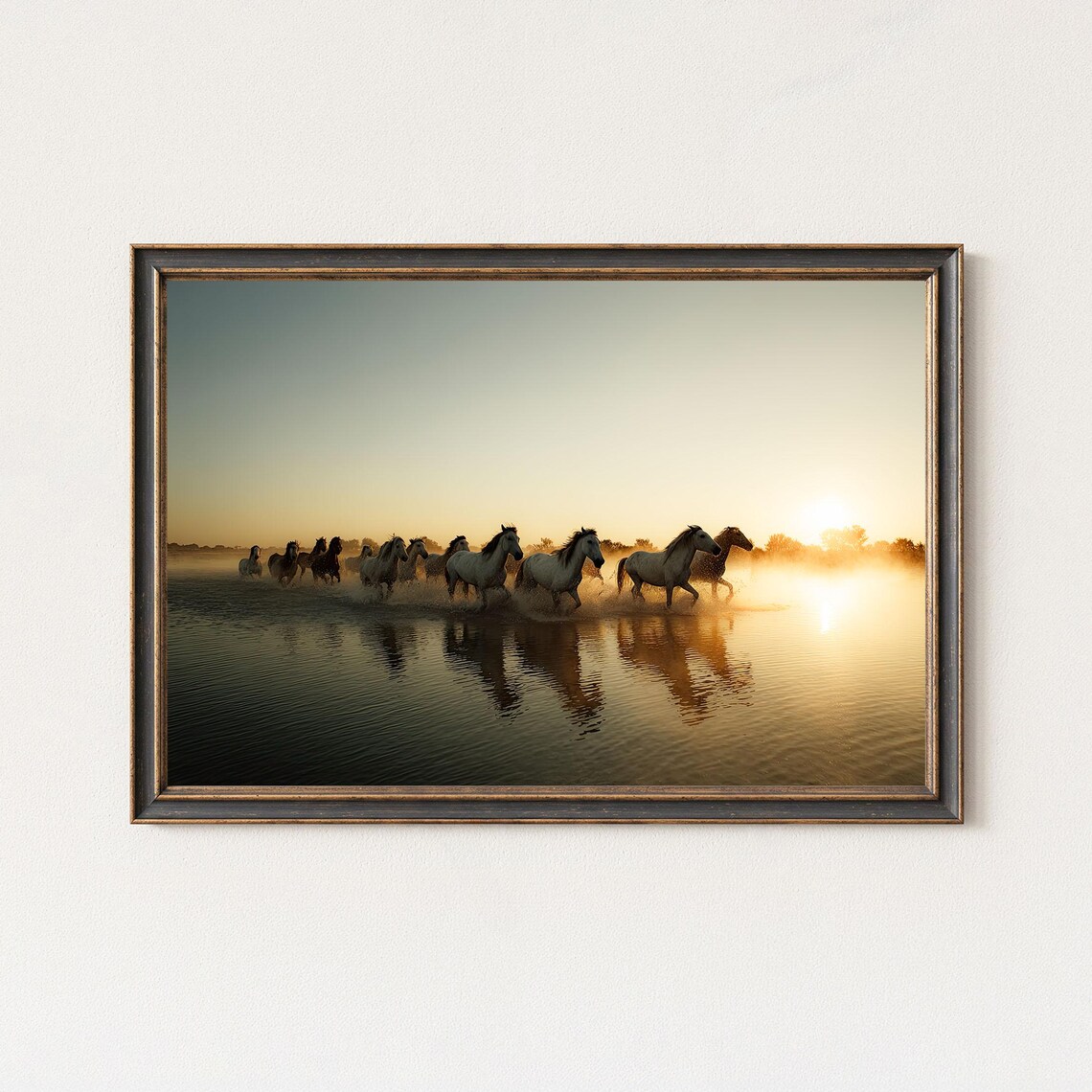 Wild Horses Running Through Water at Golden Sunrise Reflections Poster