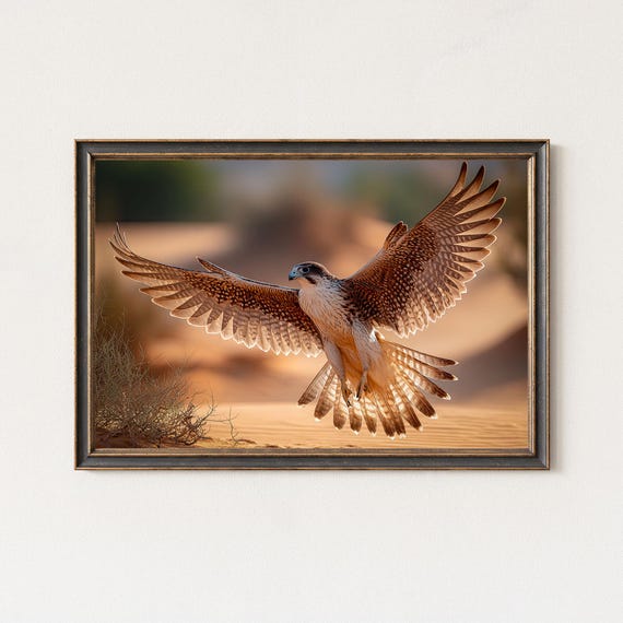 Falcon Photography Print Desert Wildlife Wall Art