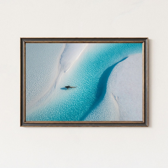 Lone Shark Over Turquoise Sandbank Minimalist Aerial Photo Poster