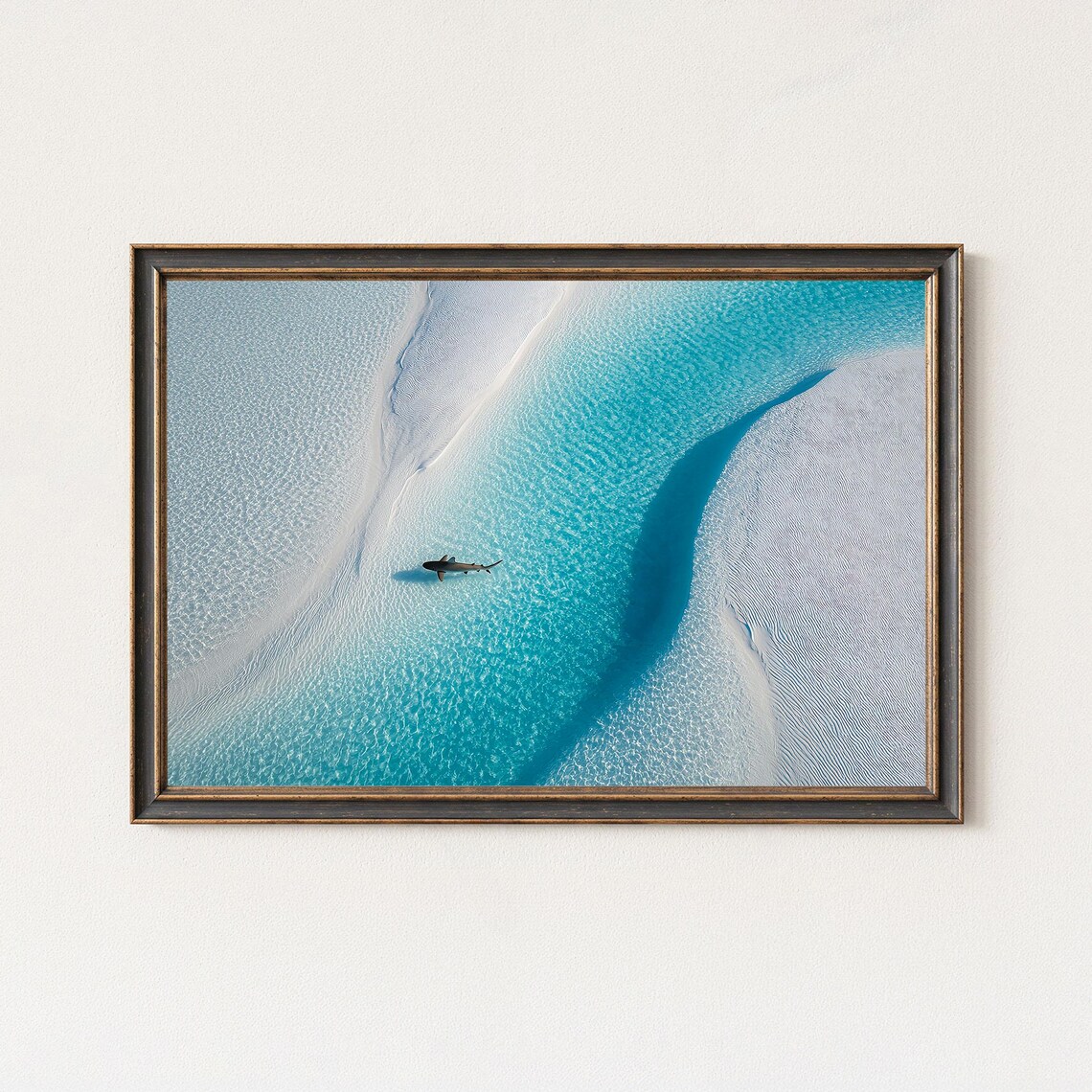 Lone Shark Over Turquoise Sandbank Minimalist Aerial Photo Poster