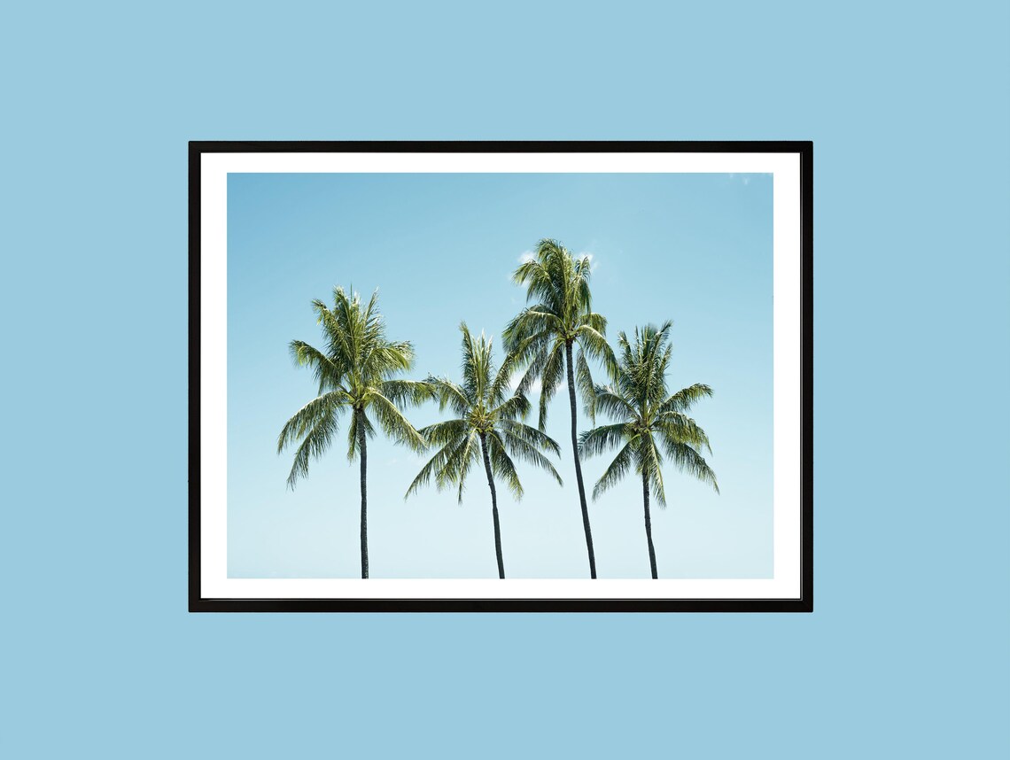 Minimalist Palm Trees Tropical Photography Poster With Four Palms Blue Sky