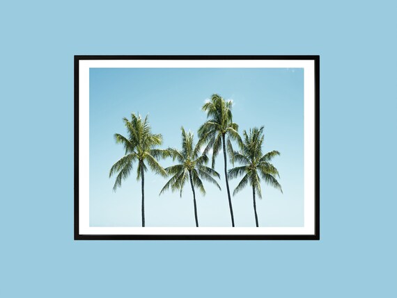 Minimalist Palm Trees Tropical Photography Poster With Four Palms Blue Sky