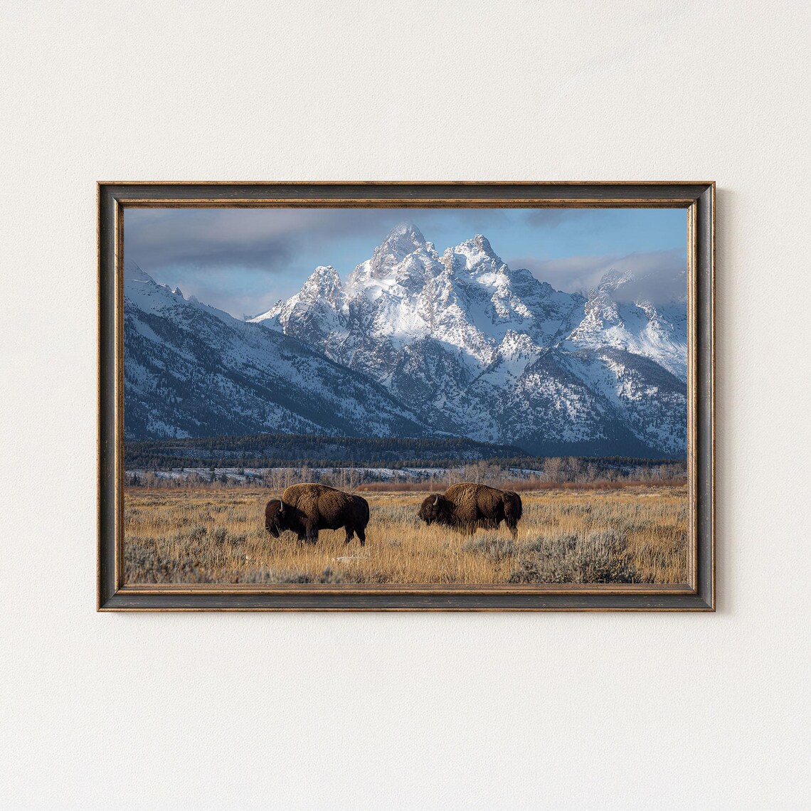 Grand Teton Bison Wyoming Snowy Mountain Landscape Wall Art Print