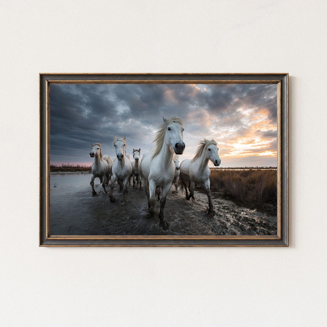 Wild White Horses Stormy Sunset Running Water Dramatic Equine Poster