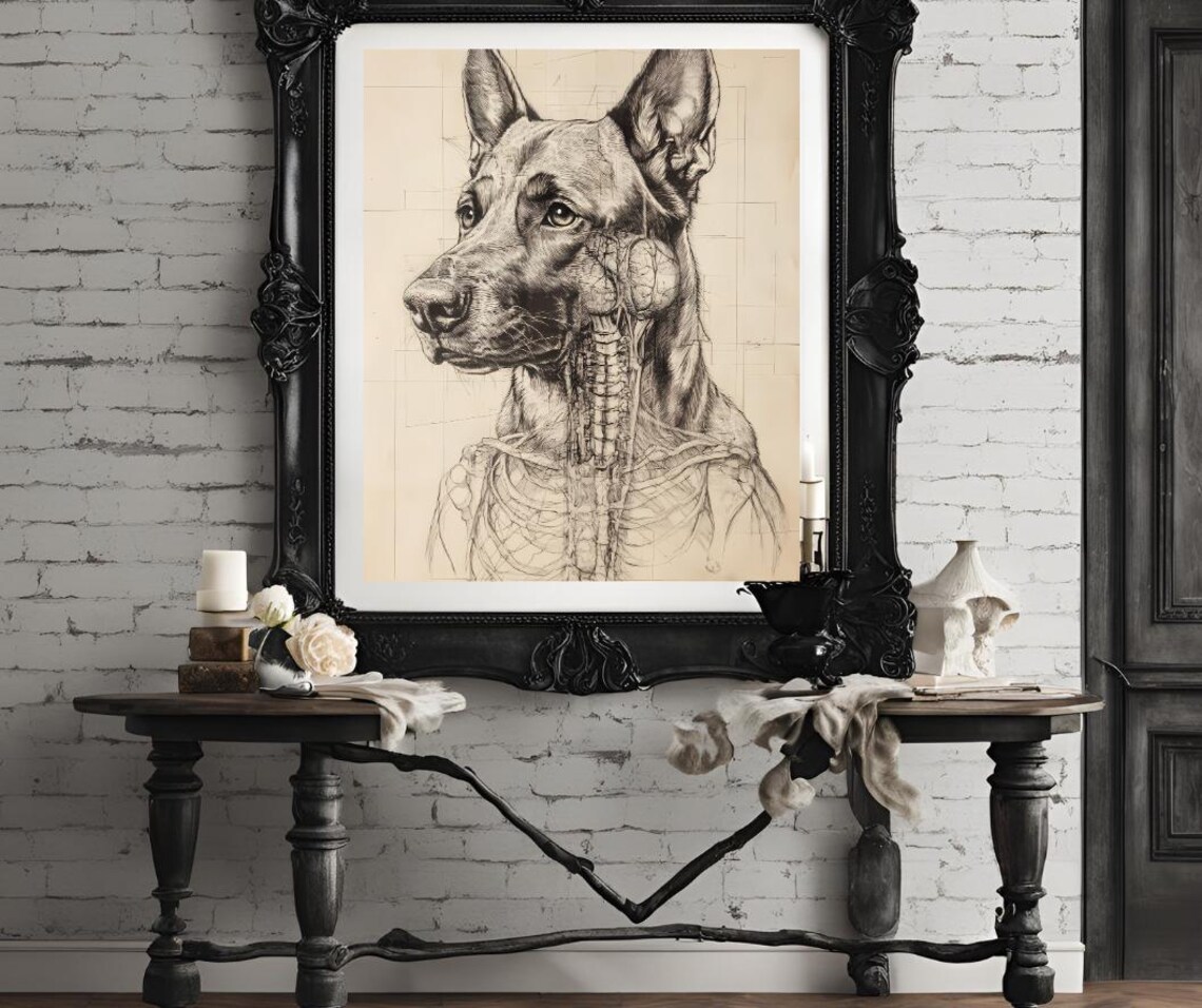 Anatomical Dog Sketch Scientific Canine Study Vintage Line Art Poster - Image 4