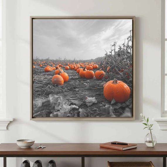 Autumn Pumpkin Field Canvas Print Color Splash Photography Art